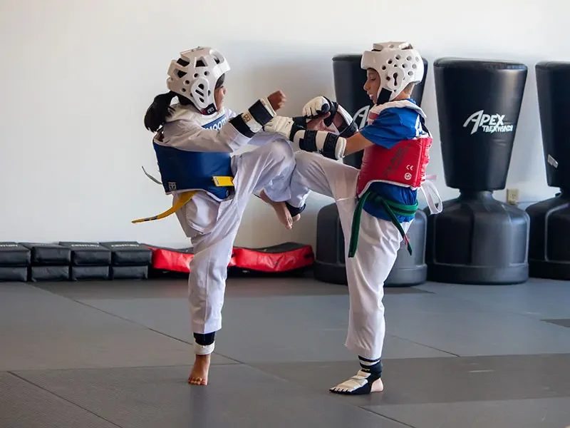 Apex Taekwondo Center, business photo 2