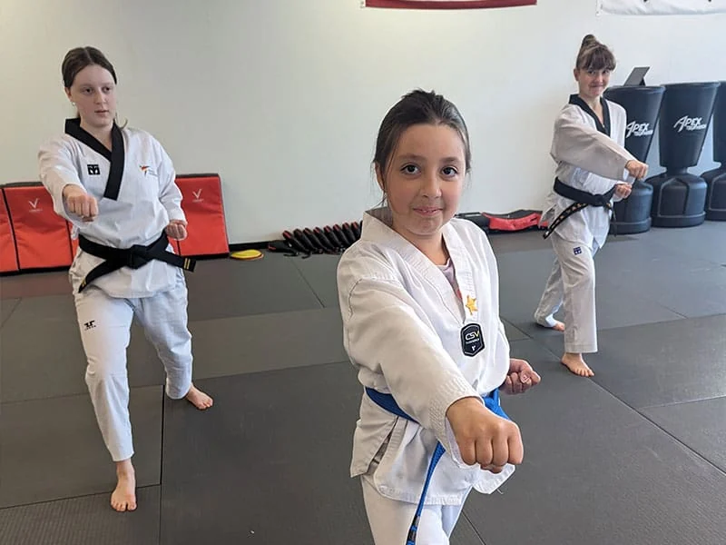 Apex Taekwondo Center, business photo 3
