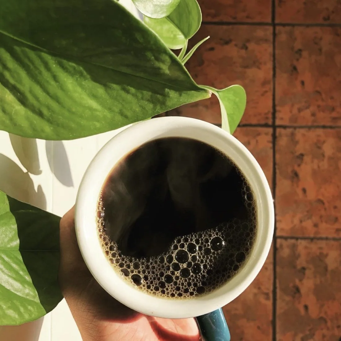 Geist Coffee Company, business photo 3