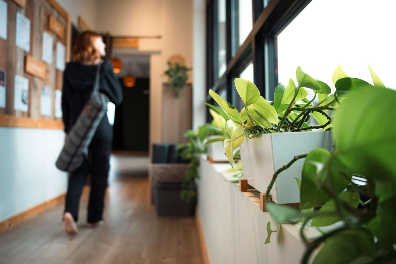 Prana Yoga & Wellness, business photo 4