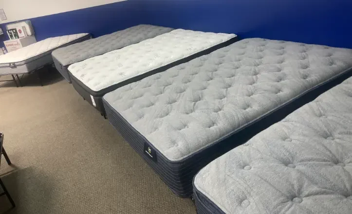 That Sofa, Sectional & Mattress Place, business photo 5