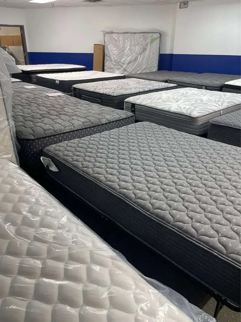 That Sofa, Sectional & Mattress Place business photo